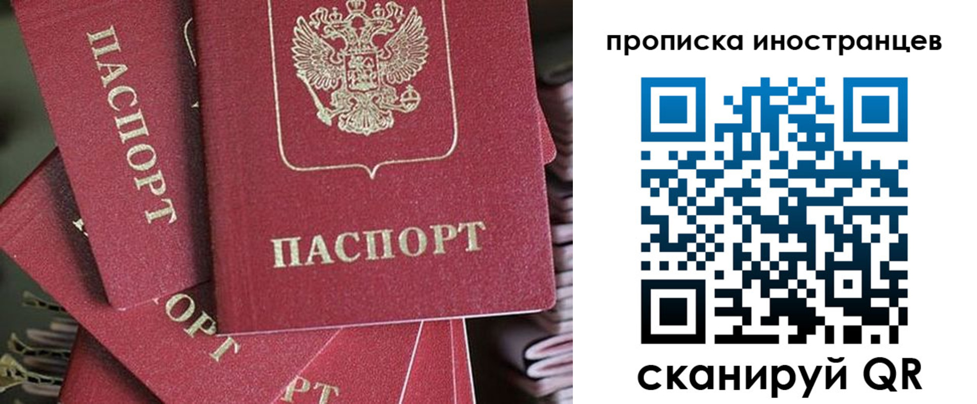 временная прописка в Оленегорске